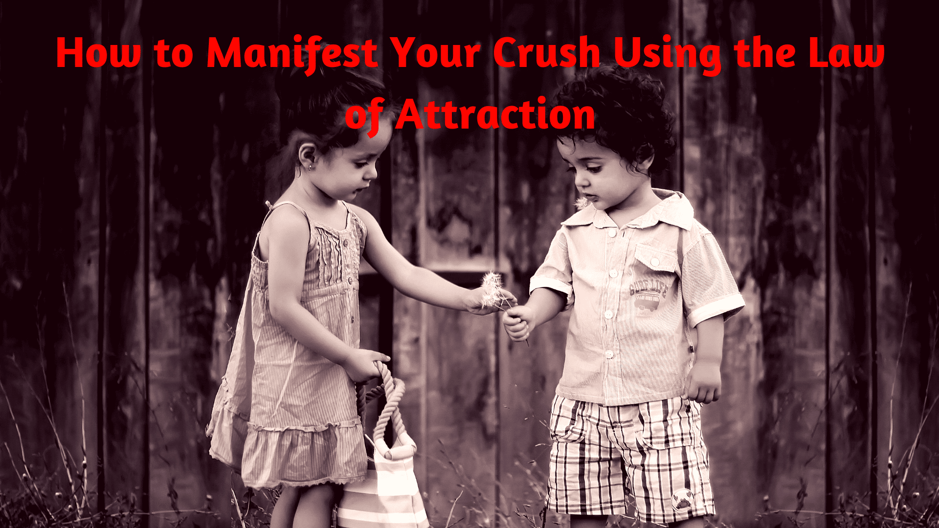 How do I manifest my crush to like me?